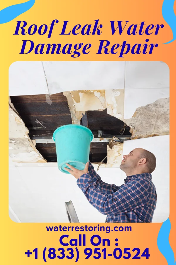Roof Leak Water Damage Repair in Cedarville, OH