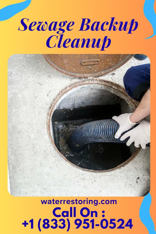 Sewage Backup Cleanup in Cedarville, OH