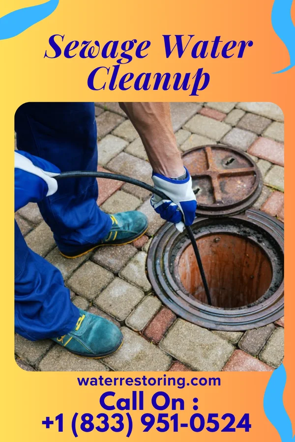 Sewage Water Cleanup in Cedarville, OH