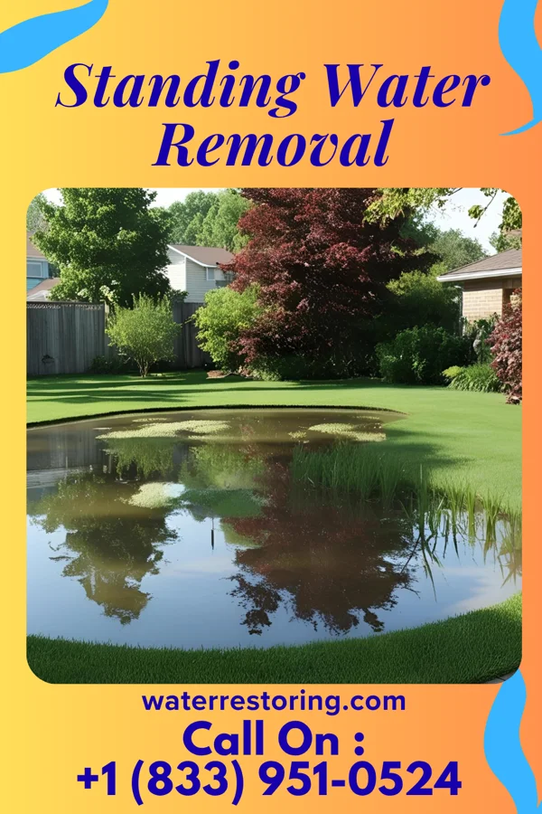 Standing Water Removal in Cedarville, OH
